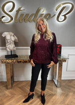 Sally sequin Top