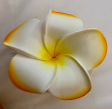 Flower 🌸 Clips .. from Bali