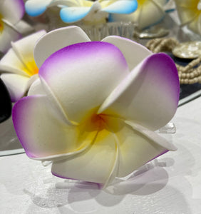 Flower 🌸 Clips .. from Bali